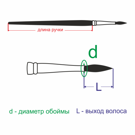 Кисть «Акварель», волос козы, овальная №20