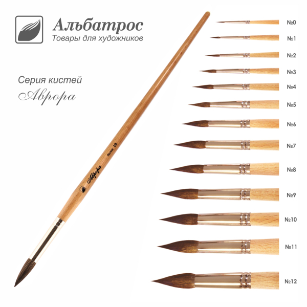 аврора белка